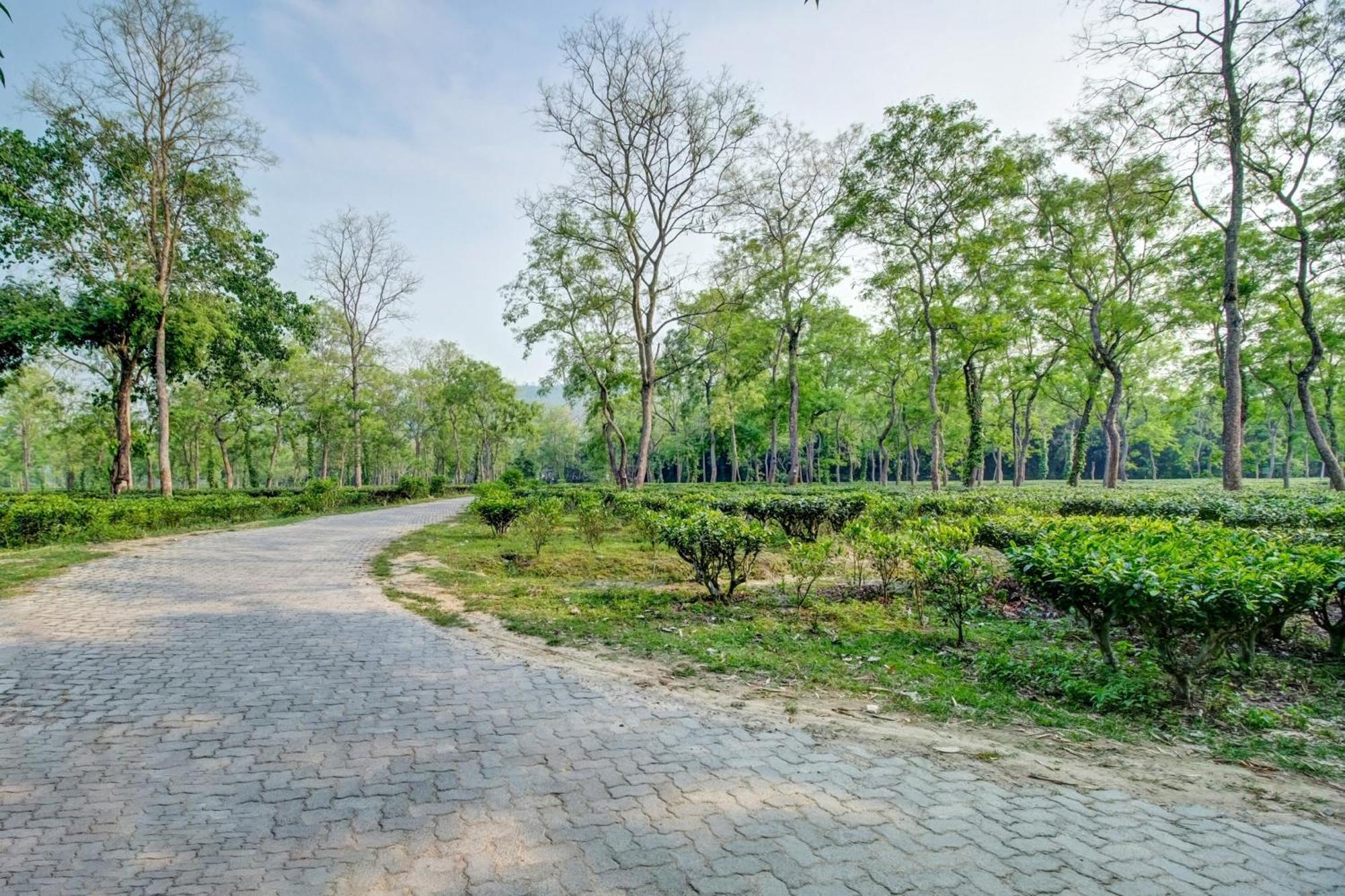 Hotel O Heritage Nest Resort Kazirnga Kaziranga Exterior photo